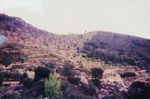Terreno en venta en Torremanzanas, L'Alacantí photo 0