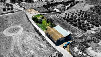 Nave industrial en venta en Murcia, Gea Y Truyols photo 0