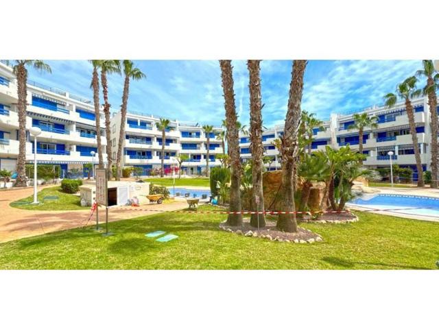 Apartamento en venta en Orihuela, Playa Flamenca photo 0