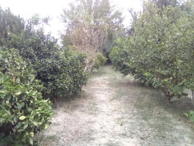 Terreno en venta en Los Dolores, Huerta photo 0