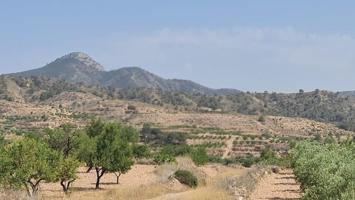 Terreno en venta en Abanilla photo 0