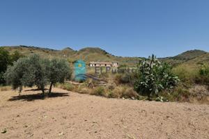 Casa con terreno en venta en Lorca, La Hoya-Almendricos-Purias photo 0