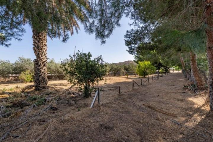 Casa con terreno en venta en Alhabia, EL PALOMAR photo 0