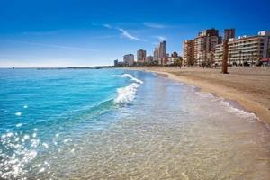 Piso en alquiler en El Campello photo 0