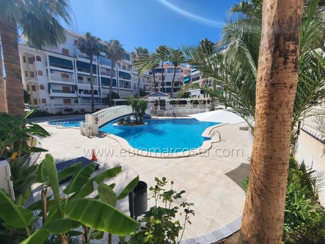 Aticos en venta en La Mata, LA MATA photo 0
