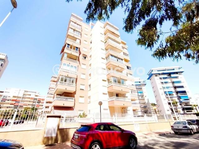Apartamento en venta en Guardamar del Segura, PUERTO photo 0