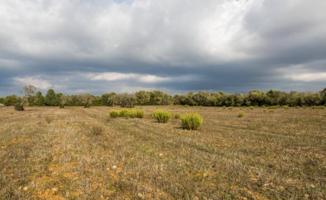 Terreno en venta en Campos, Son mas photo 0