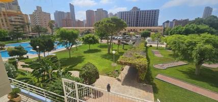 Apartamento en venta en Benidorm photo 0