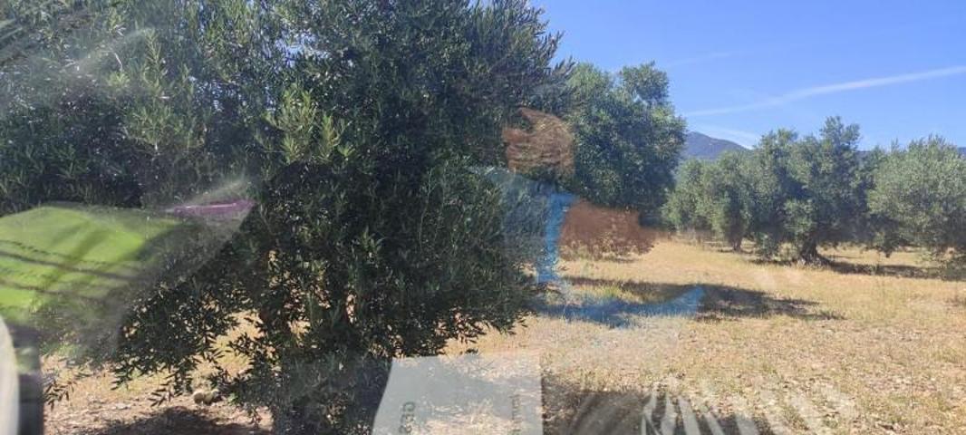 Terreno en venta en Cantallops, Cantallops photo 0