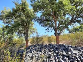 Terreno en venta en Alburquerque, Extremadura photo 0