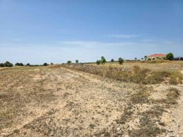 Terreno en venta en Pinoso photo 0