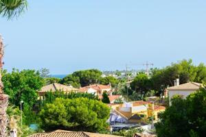 Aticos en venta en Orihuela Costa, Orihuela Costa photo 0