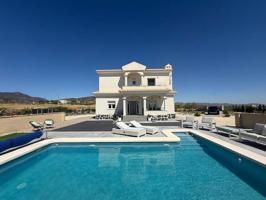 Chalet en venta en Pinoso photo 0