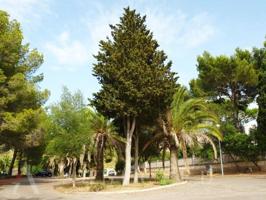 Terreno en venta en Alcúdia photo 0