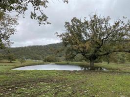Terreno en venta en Madroñera, CRTA. MADROÑERA Polígono 19, 10210 photo 0