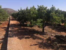 Terreno en venta en Oliva, A las afueras photo 0