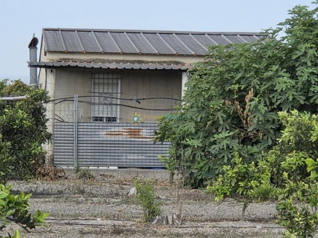 Casa con terreno en venta en Ador photo 0