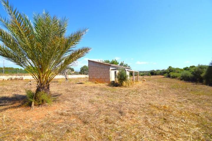 Terreno en venta en Muro, Son font photo 0