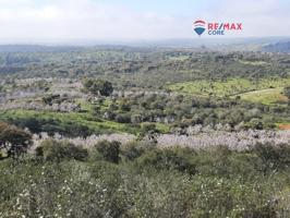 Terreno en venta en Alburquerque, Extremadura photo 0