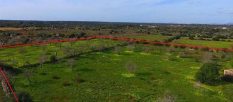 Terreno en venta en Ses Salines, Ses salines photo 0