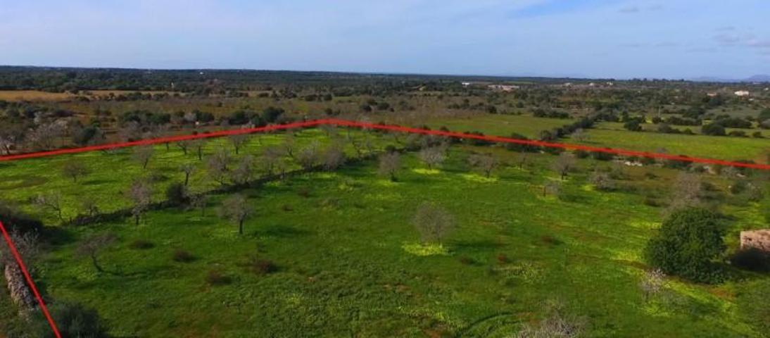 Terreno en venta en Ses Salines, Ses salines photo 0