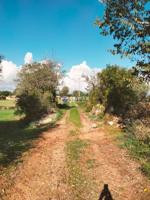 Terreno en venta en Llubí photo 0
