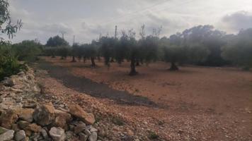 Terreno en venta en Benicarló, BENICARLÓ photo 0