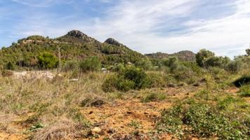 Terreno en venta en Pedreguer photo 0