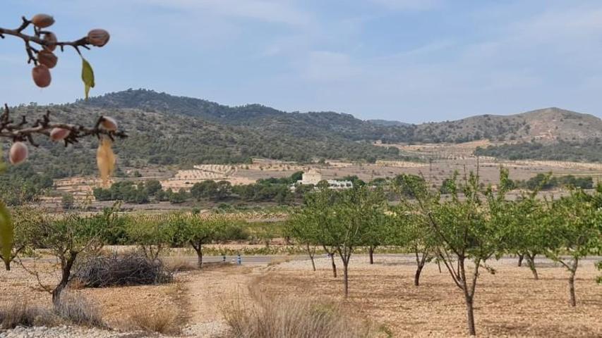 Terreno en venta en Algueña photo 0