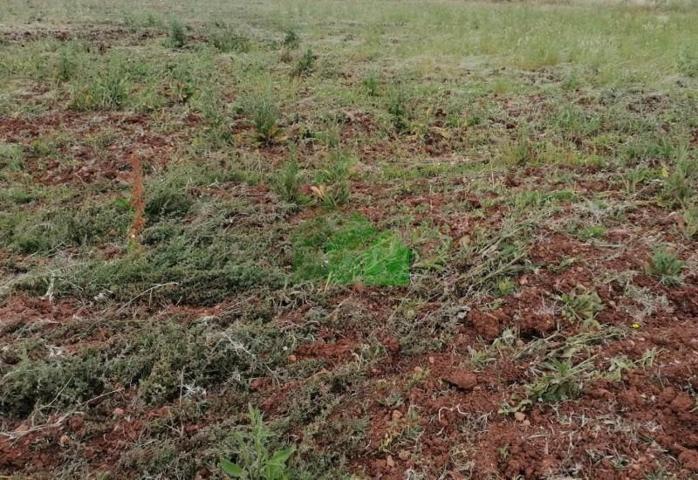 Terreno en venta en Montijo photo 0