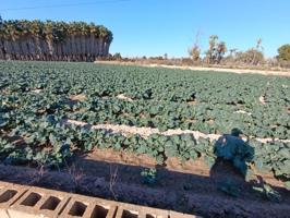 Terreno en venta en Elche, Pussol photo 0
