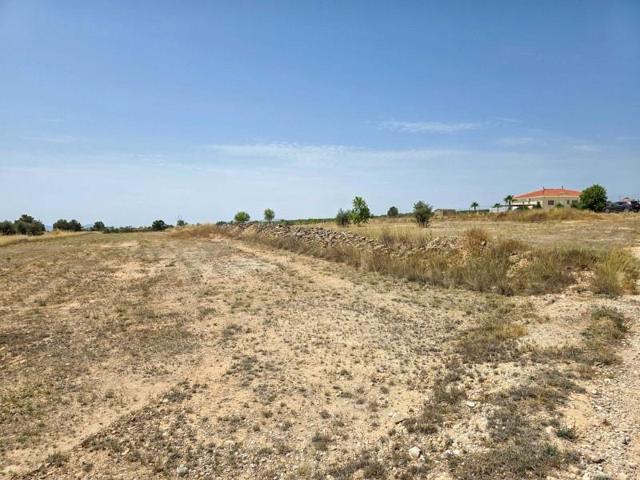 Terreno en venta en Pinoso photo 0