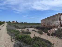 Terreno en venta en Crevillent, Plaza de la Iglesia photo 0