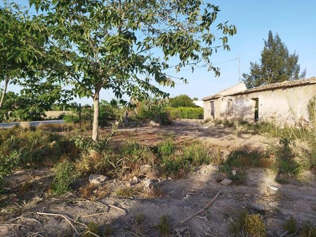 Terreno en venta en Catral photo 0
