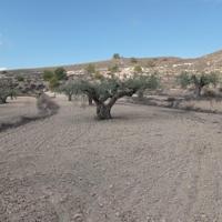 Terreno en venta en Hondon de las Nieves, Pueblo 6 photo 0