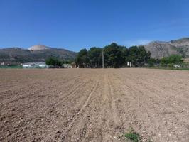 Terreno en venta en Aspe photo 0