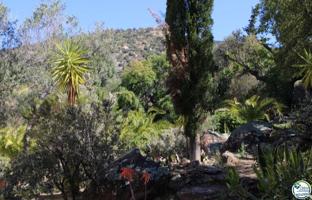 Terreno en venta en Palau-saverdera photo 0