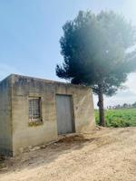 Terreno en venta en Catral, Catral - Campo photo 0