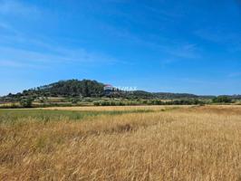 Terreno en venta en Sineu photo 0