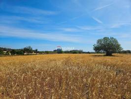 Terreno en venta en Sineu photo 0