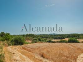 Terreno en venta en Santa Margalida photo 0