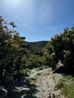 Chalet en venta en Motril, Puntalon photo 0
