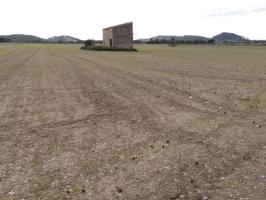 Terreno en venta en Sineu photo 0