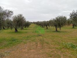 Terreno en venta en Montijo, LOS ARENALES photo 0