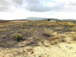 Terreno en venta en Torre del Rico photo 0