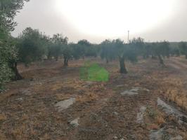 Terreno en venta en Montijo photo 0