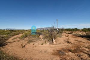 Casa con terreno en venta en Fuente Álamo de Murcia, Cuevas de Reyllo photo 0