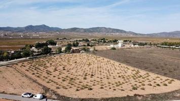Terreno en venta en Pinoso photo 0