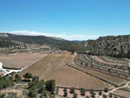 Terreno en venta en Pinoso photo 0