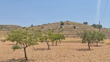 Terreno en venta en Cañada del Trigo photo 0